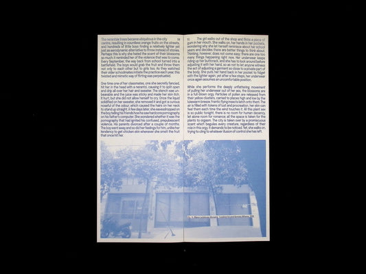 Simulacrum Magazine Issue 33#4:Libido - Part 1