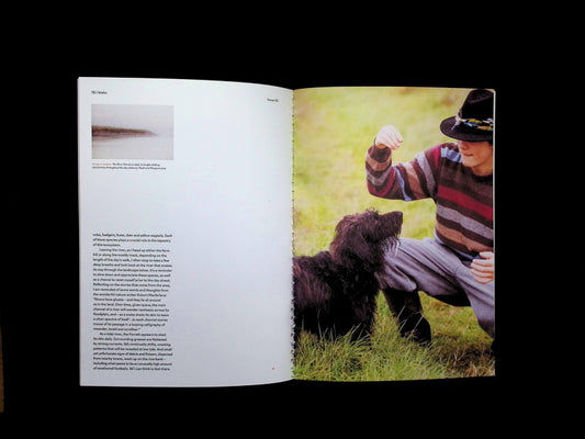 Wunderdog N.10 - Part 1