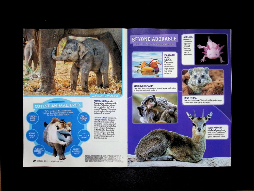 NATIONAL GEOGRAPHIC KIDS Nov 2025