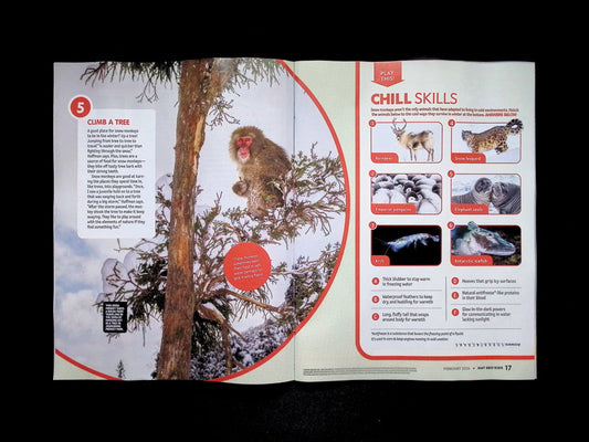 NATIONAL GEOGRAPHIC KIDS Feb 2026