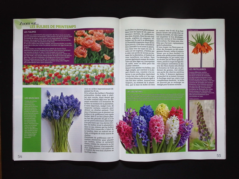 Atelier Floral N°79 Oct-Nov-Dec 2025