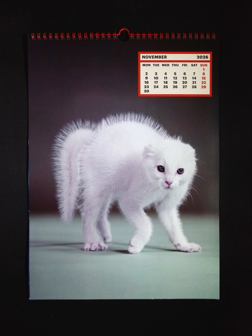 TOILETPAPER *** CALENDAR 2026
