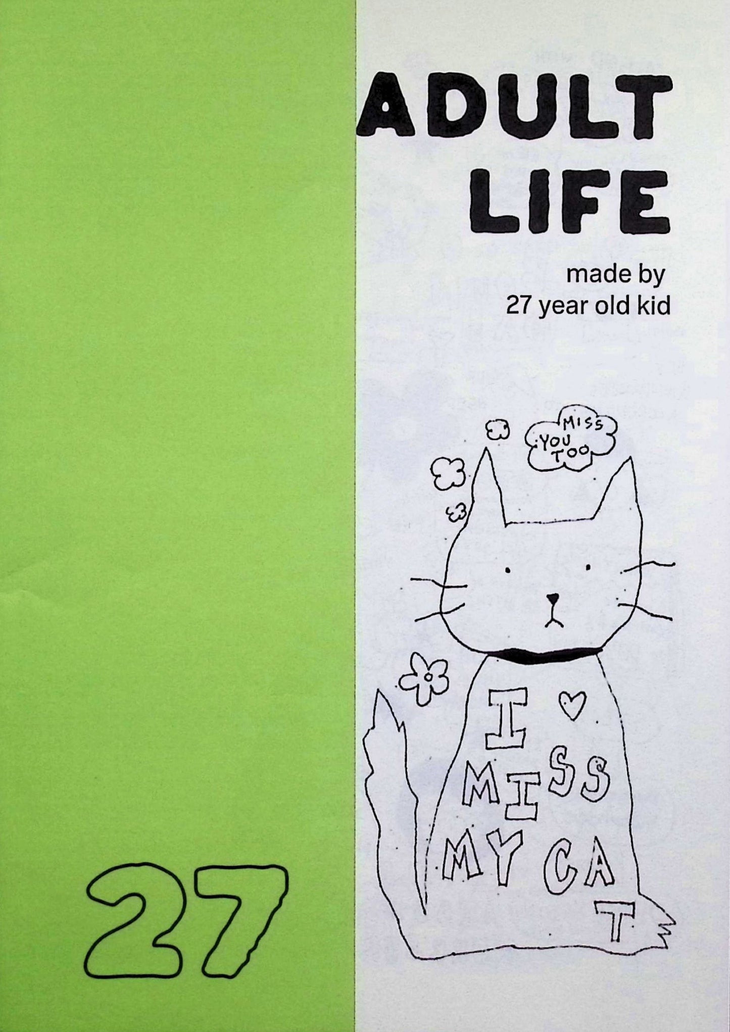 Adult Life 27