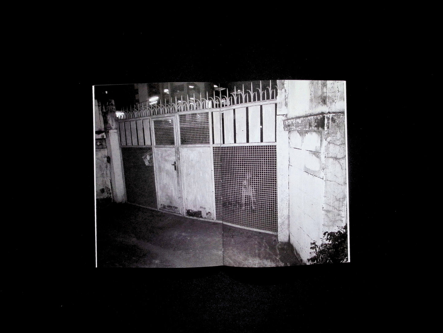 EVEN YOUR NEPHEW CAN TAKE THESE PHOTO - Part 2