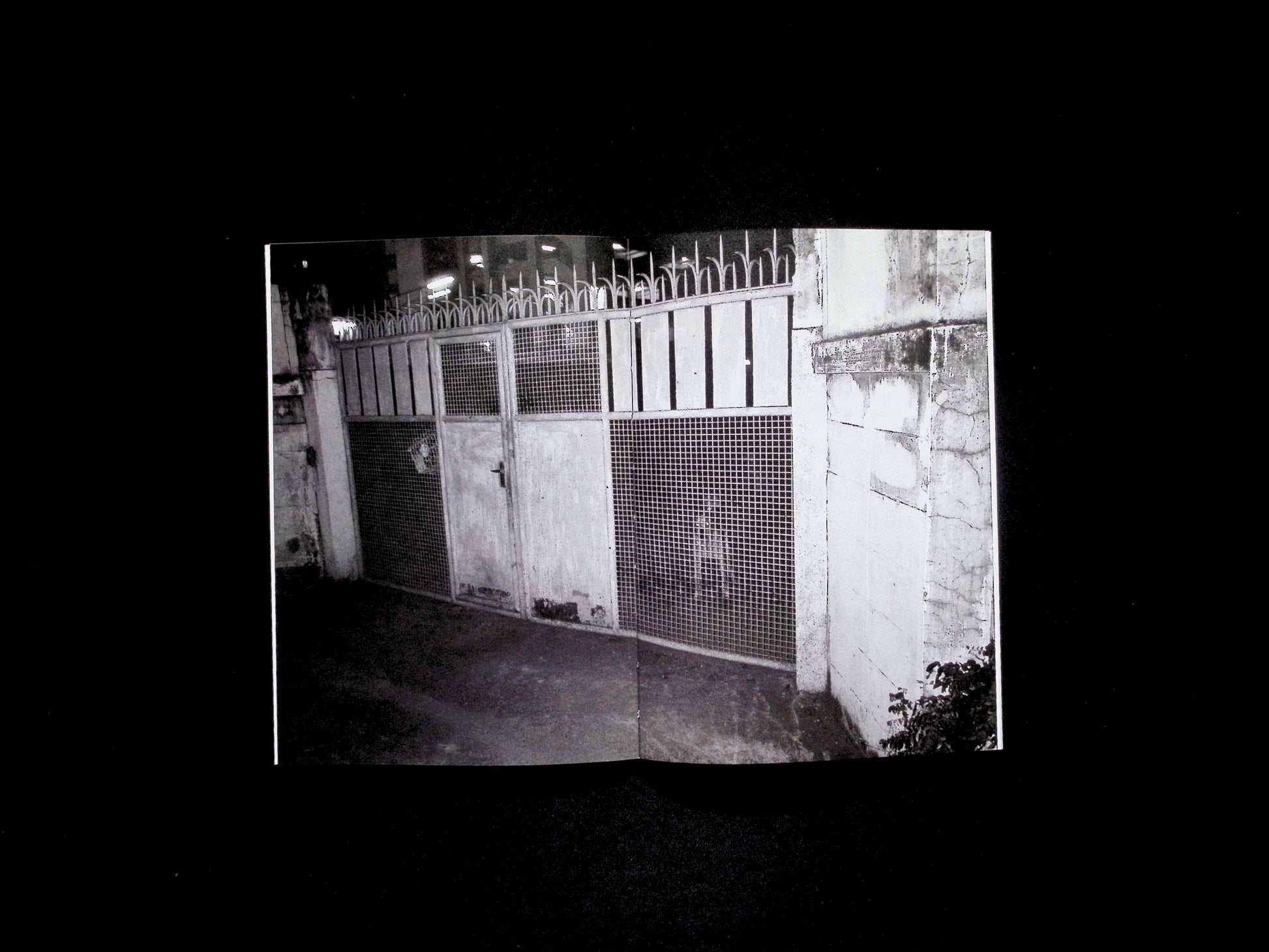 EVEN YOUR NEPHEW CAN TAKE THESE PHOTO - Part 2