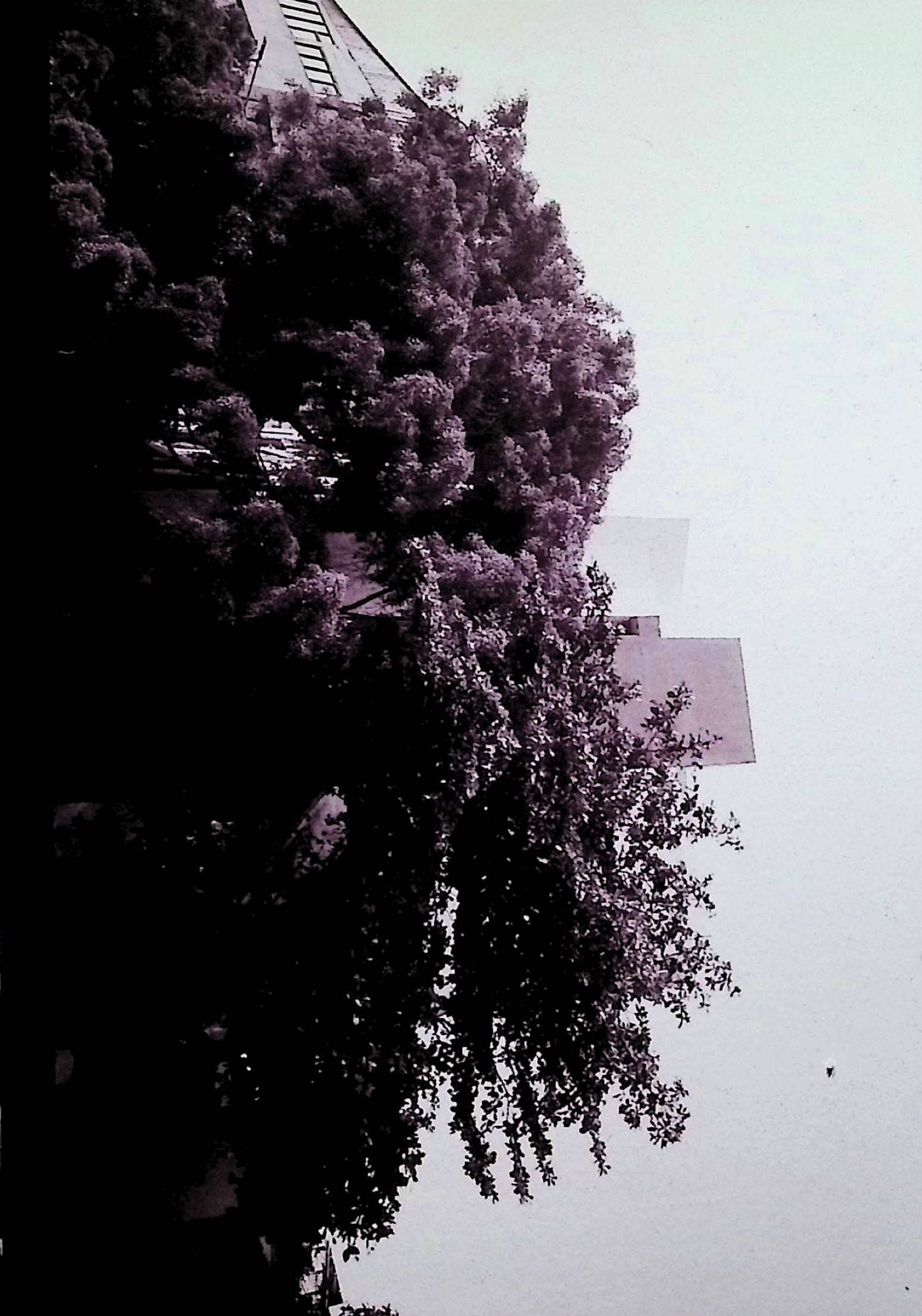 EVEN YOUR NEPHEW CAN TAKE THESE PHOTO