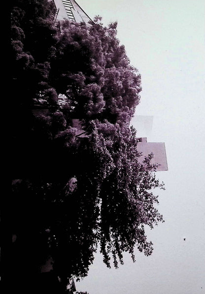 EVEN YOUR NEPHEW CAN TAKE THESE PHOTO