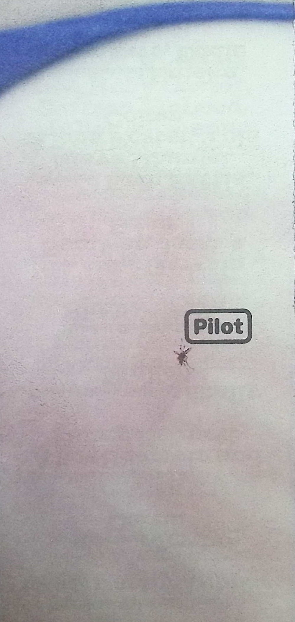 Pilot NO.5 2024