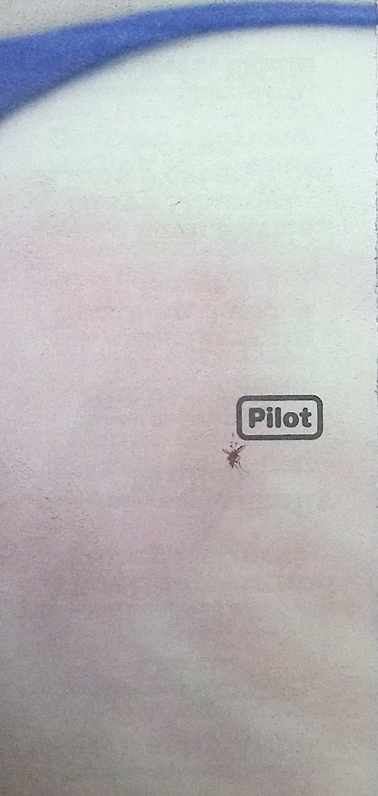 Pilot NO.5 2024