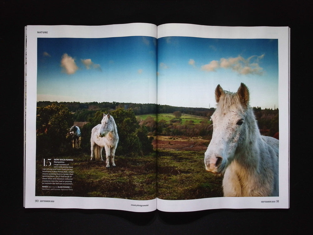 COUNTRY LIVING (UK) [2025-09] N.477