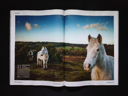 COUNTRY LIVING (UK) [2025-09] N.477