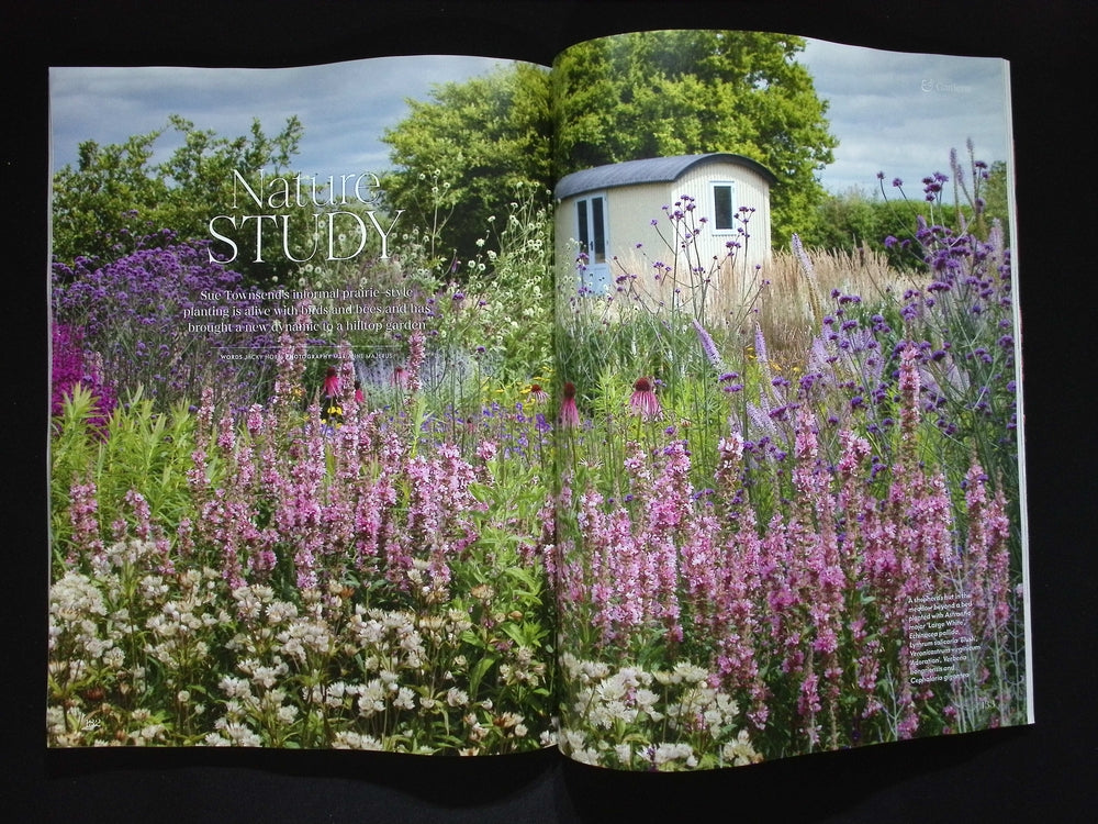 HOMES AND GARDENS [2025-06] N.310