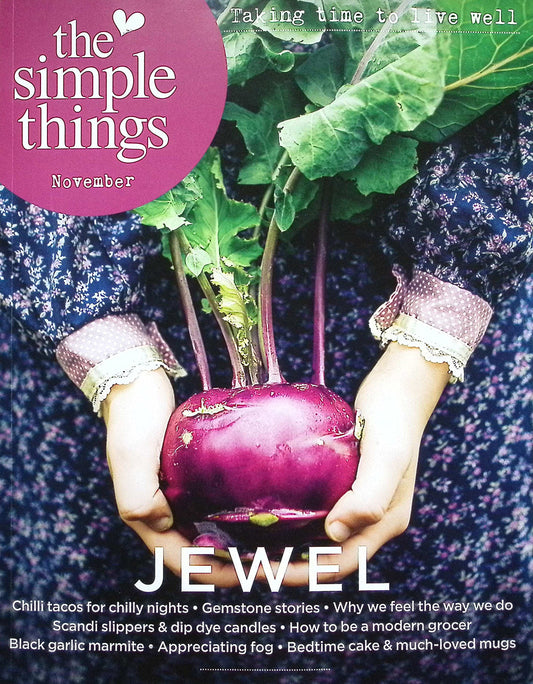 THE SIMPLE THINGS November 2024 N149