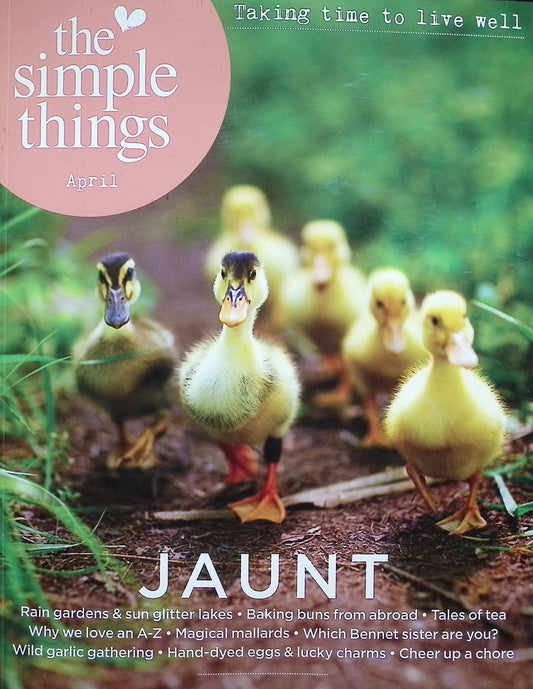 THE SIMPLE THINGS [2025-04] N154