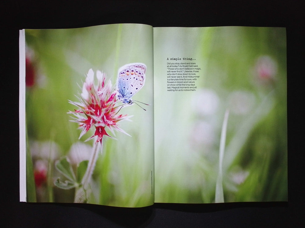THE SIMPLE THINGS [2025-06] N156
