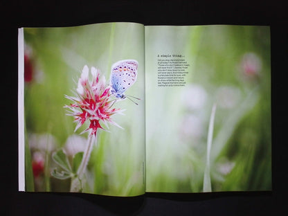 THE SIMPLE THINGS [2025-06] N156