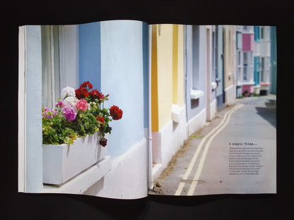 THE SIMPLE THINGS [2025-06] N156