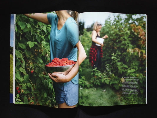 THE SIMPLE THINGS [2025-07] N157