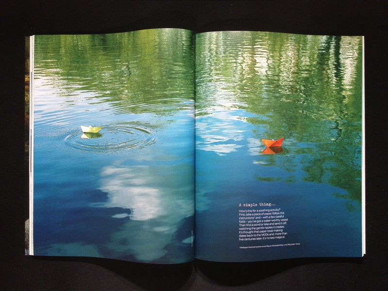 THE SIMPLE THINGS [2025-08] N158