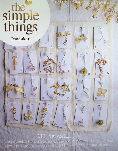 THE SIMPLE THINGS [2025-12] N162