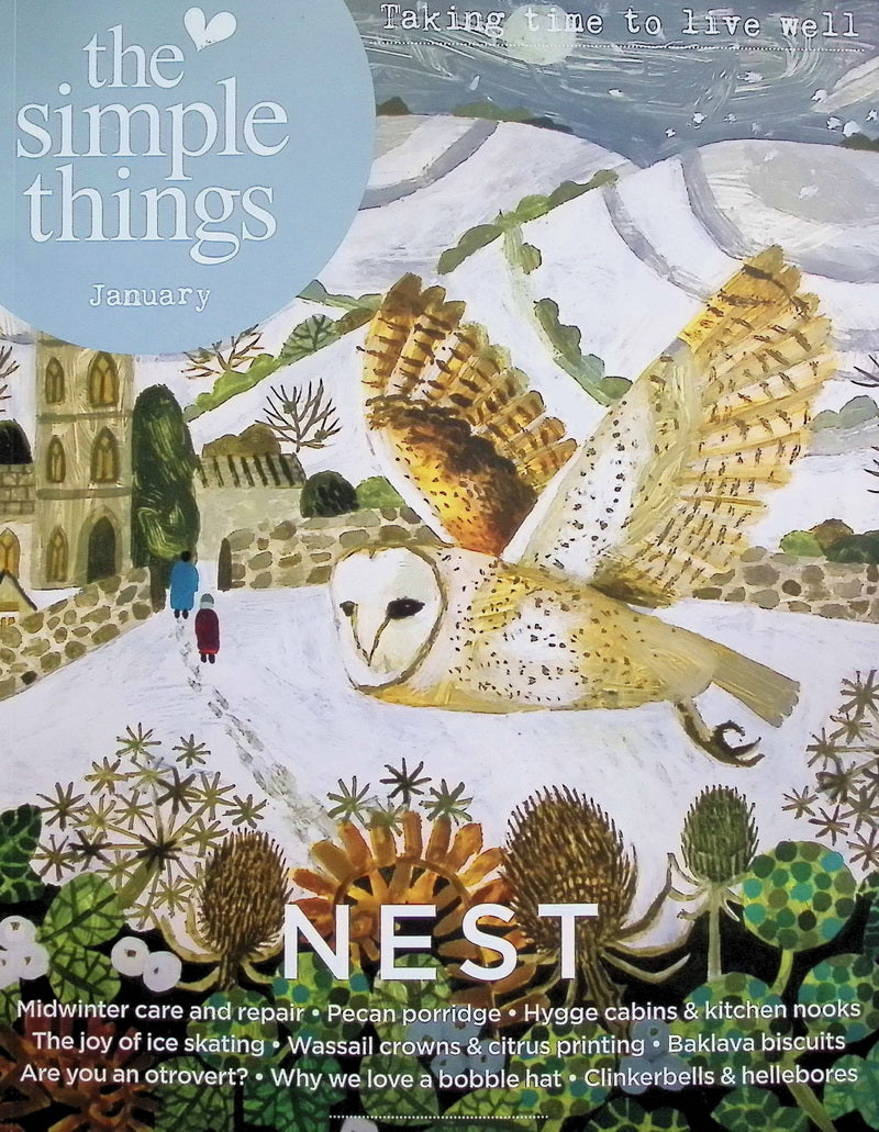 THE SIMPLE THINGS [2026-01] N163