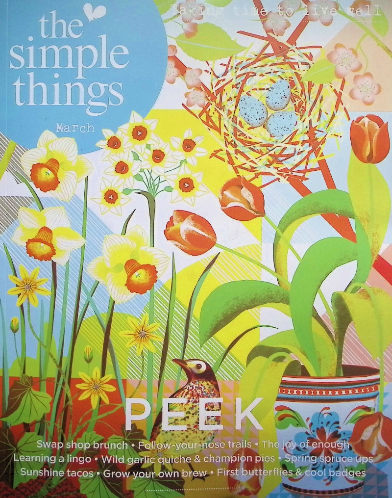 THE SIMPLE THINGS [2026-03] N.165