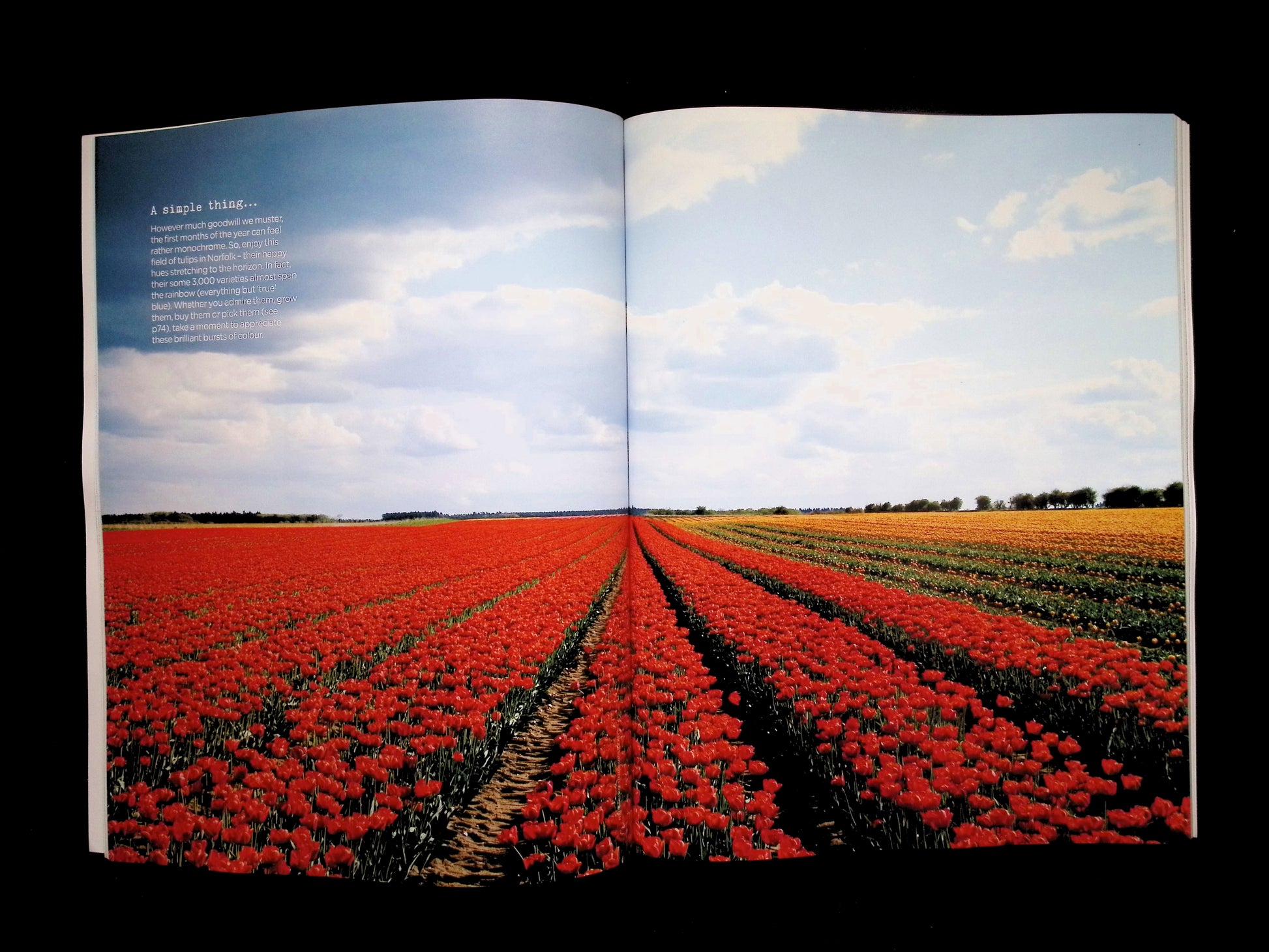 THE SIMPLE THINGS [2026-04] N.166 - Part 3