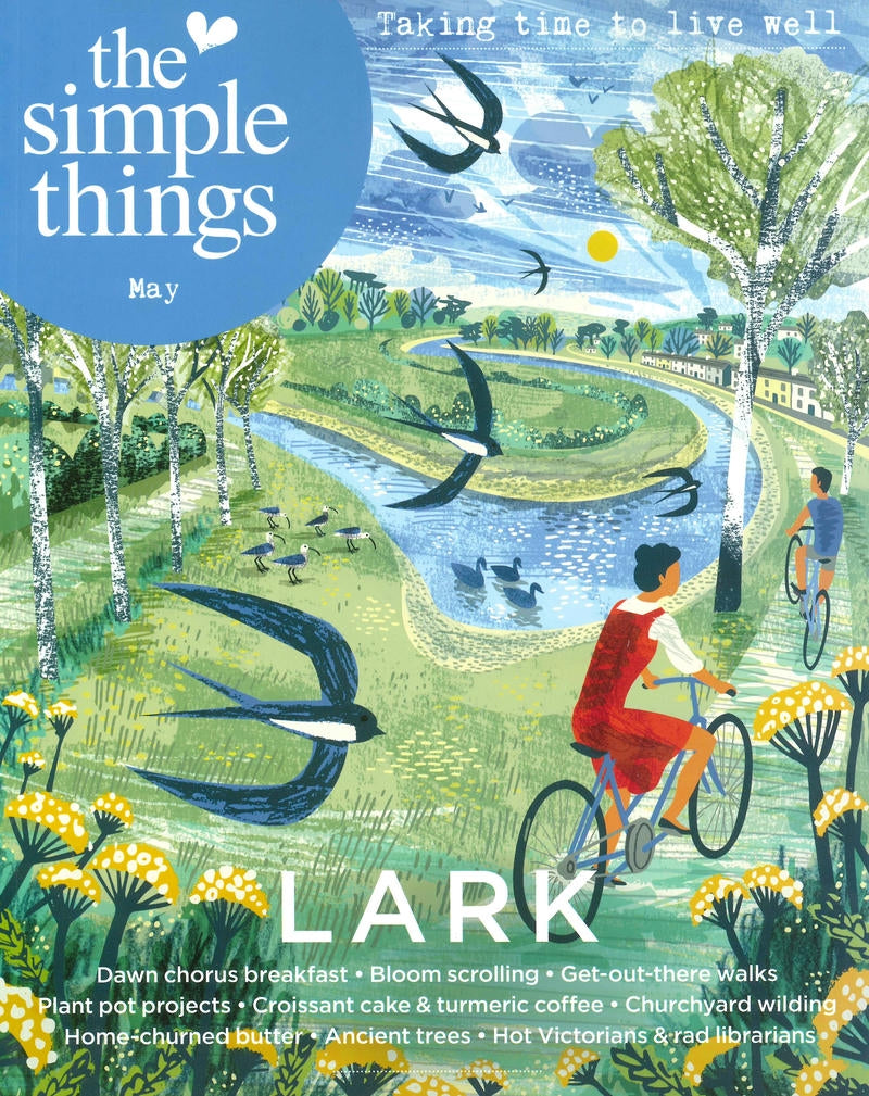 THE SIMPLE THINGS [2026-05] N.167