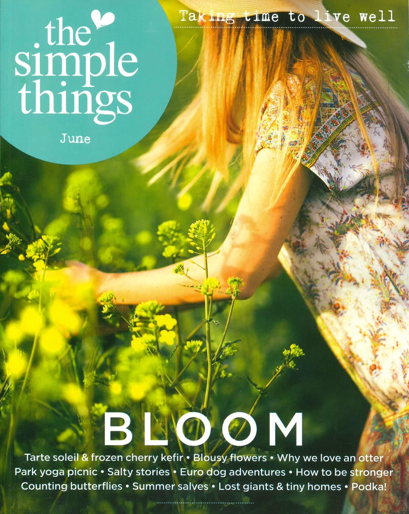 THE SIMPLE THINGS [2026-06] N.168
