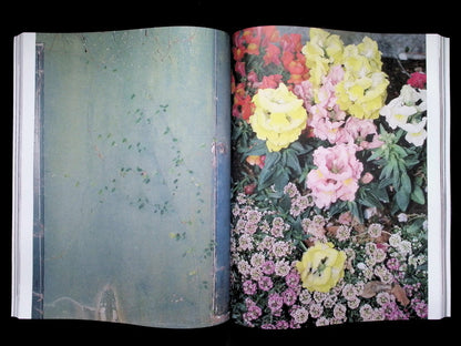 THE PLANT [24] N.24- Autumn/Winter 2025-26