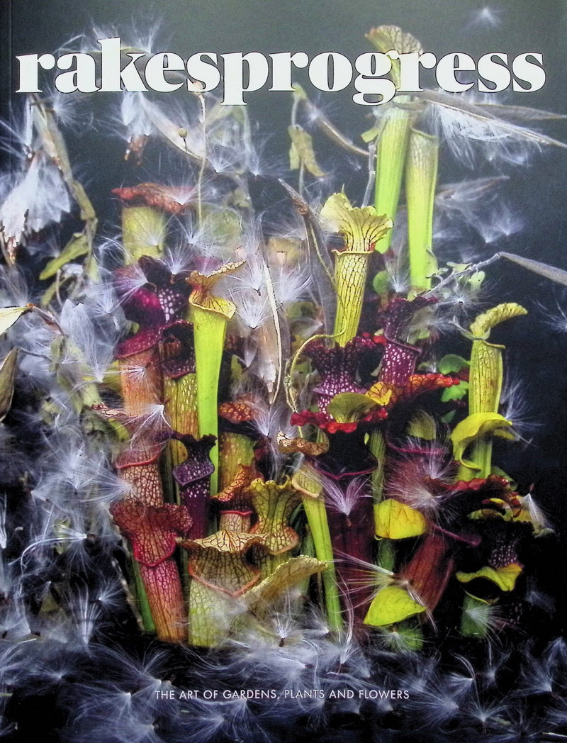 rakes progress *** [18] Vol.18