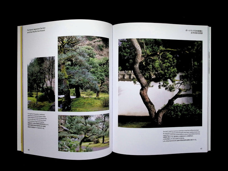 Niwaki Field Report NO.2 2025