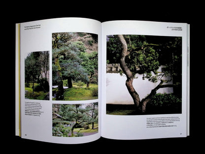 Niwaki Field Report NO.2 2025