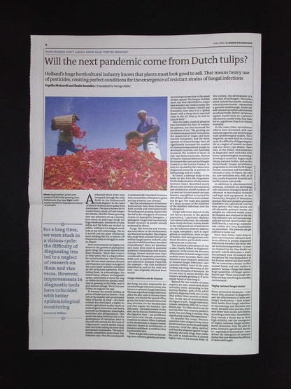 Le Monde Diplomatique [2025-06] N.2506