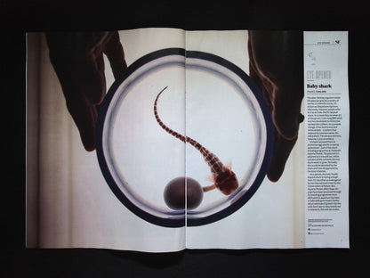 BBC Science Focus [2025-10] N.425
