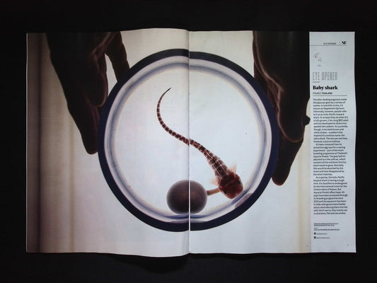 BBC Science Focus [2025-10] N.425