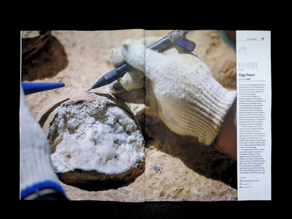 BBC Science Focus [2025-11] N.426