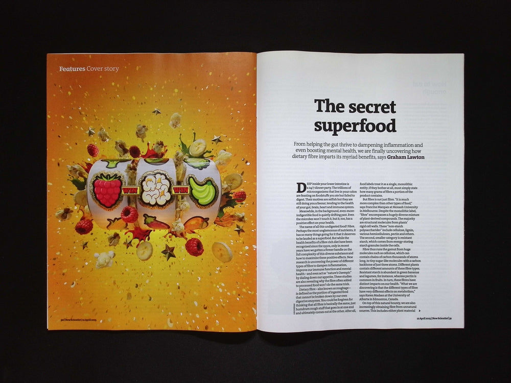 New Scientist [15] No.3538 12 Apr 2025