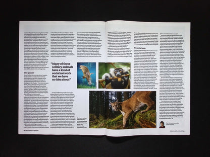 New Scientist [15] No.3538 12 Apr 2025