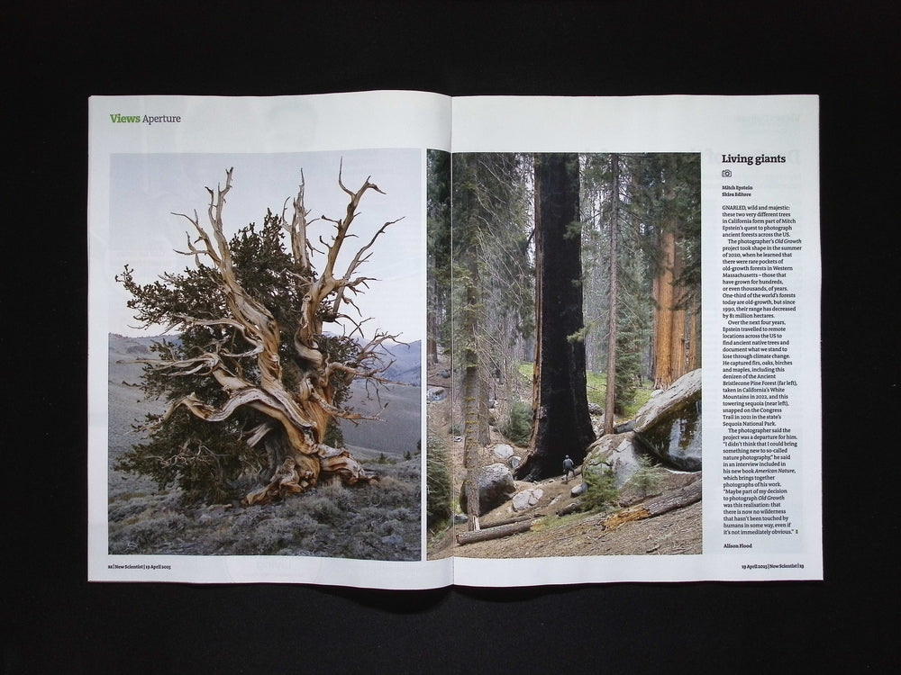 New Scientist [16] No.3539 19 Apr 2025