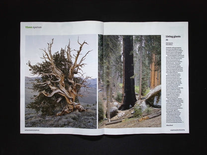 New Scientist [16] No.3539 19 Apr 2025