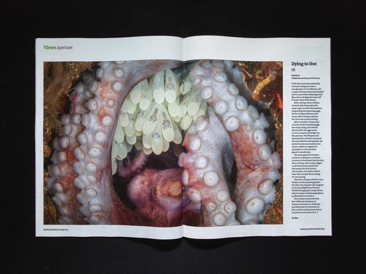 NEW SCIENTIST [28] No.3551: 12 Jul 2025