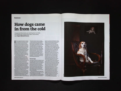 New Scientist [32] No.3555: 9 Aug 2025