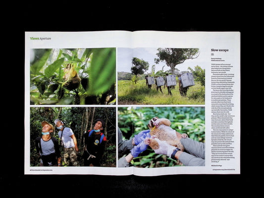 New Scientist [38] No.3561: 20 Sep 2025