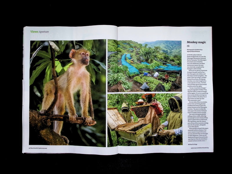 New Scientist [04] No.3579: 24 Jan 2026 - Part 3