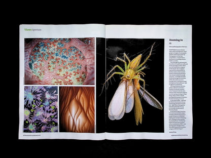 New Scientist [07] No.3582: 14 Feb 2026 - Part 2