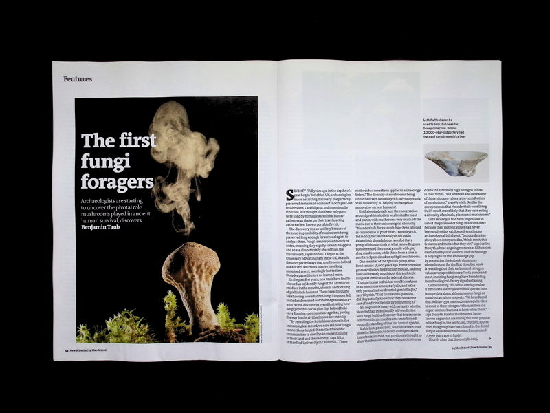 New Scientist [11] No.3586: 14 Mar 2026 - Part 4