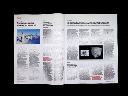 New Scientist [16] No.3591: 18 Apr 2026 - Part 1