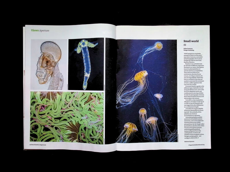 New Scientist [31] No.3606: 1 Aug 2026 - Part 1
