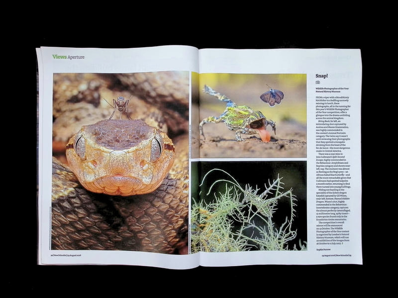 New Scientist [35] No.3610: 29 Aug 2026 - Part 3